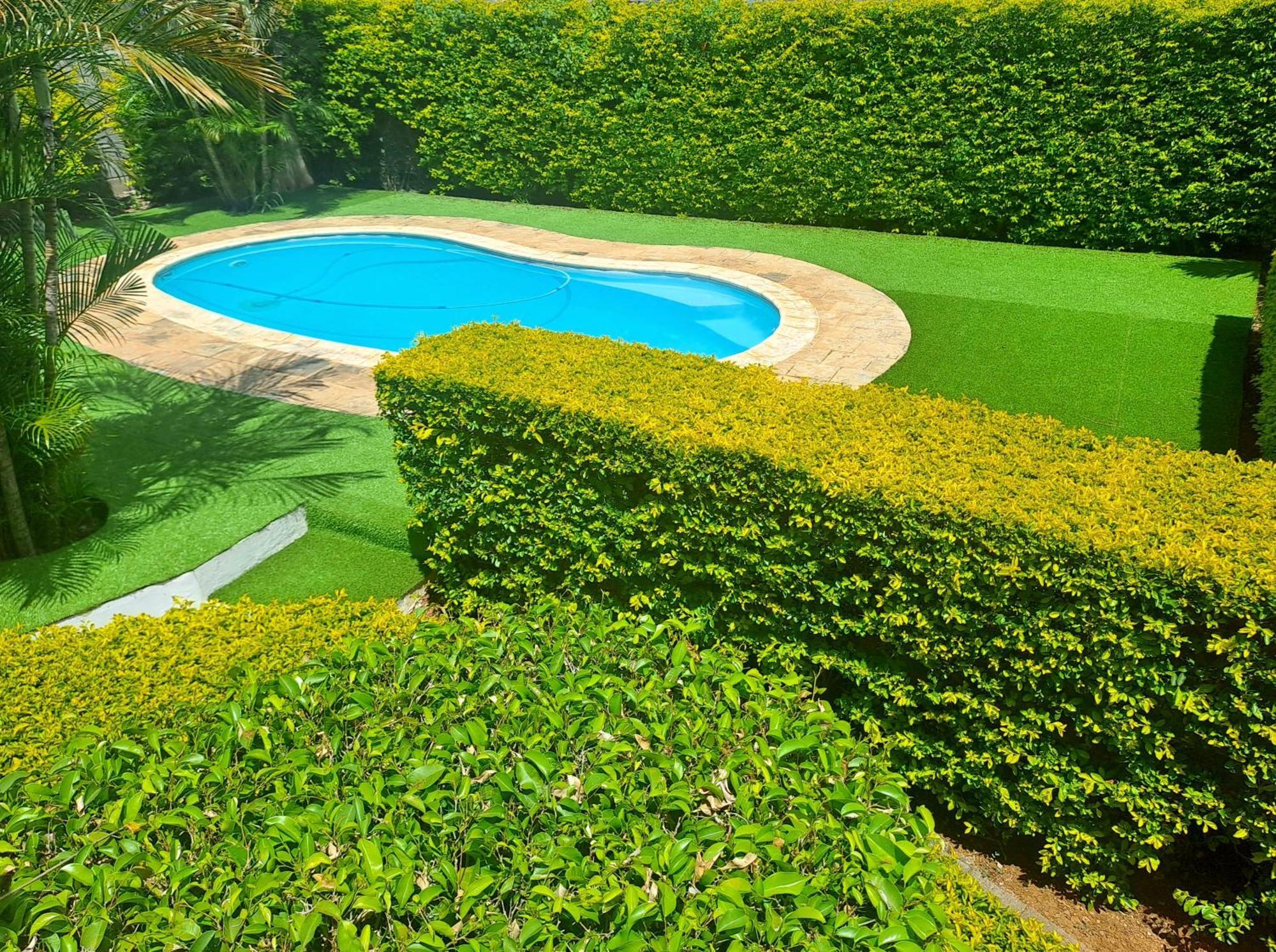 Appartement Paisible Avec Jardin & Piscine 알비언 외부 사진